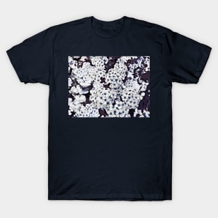 Bush of flowers in white and blue, altered photography T-Shirt